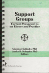 Support Groups Current Perspectives on Theory and Practice