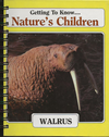 Getting to Know... Nature's Children Walrus