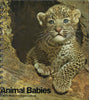 Animal Babies