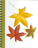 (Graphic Only) White Cover and Green Binding with Image of Autumn Leaves