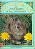 Cottontails / Little Rabbits of Field and Forest