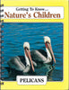Getting to Know... Nature's Children Pelicans