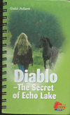 Diablo - The Secret of Echo Lake