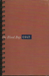 Blood Bay Colt