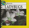 Insects Lady Bugs