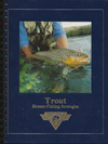 Trout Stream-Fishing Strategies