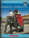 Working Elephants