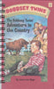 Bobbsey Twins Adventure in the Country