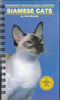 Siamese Cats