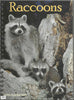 Raccoons