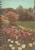 (Graphic Only) Image of a Flower Garden and a Lawn