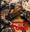 Hidden Life of a Toad