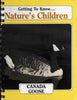 Getting to Know Nature's Children - Canada Goose