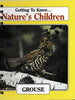 Getting to Know Nature's Children: Grouse