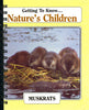 Getting to Know... Nature's Children Muskrats