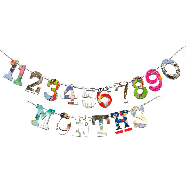 Baby Board Book Monthly Milestone Garland Kit