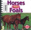 Horses Have Foals