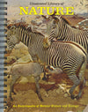 Illustrated Library of Nature (Zebra family)